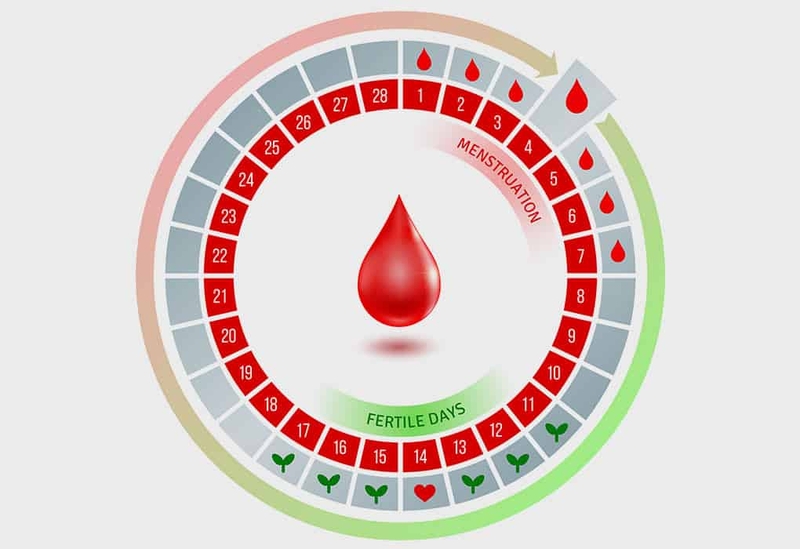 Quá trình rụng trứng diễn ra như thế nào? 1