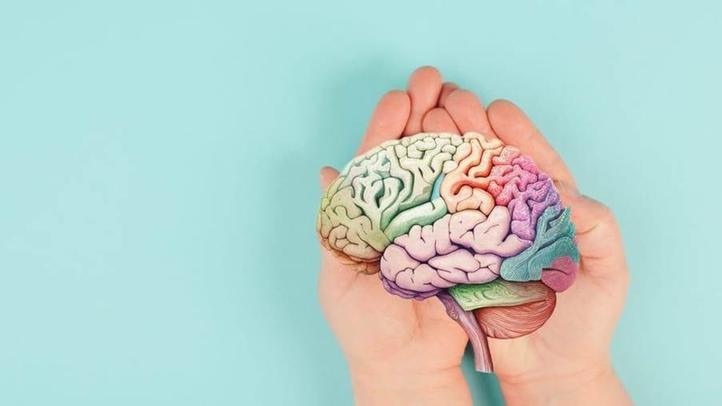 Rối loạn nhân cách ranh giới là gì? Nguyên nhân, triệu chứng và cách điều trị 5