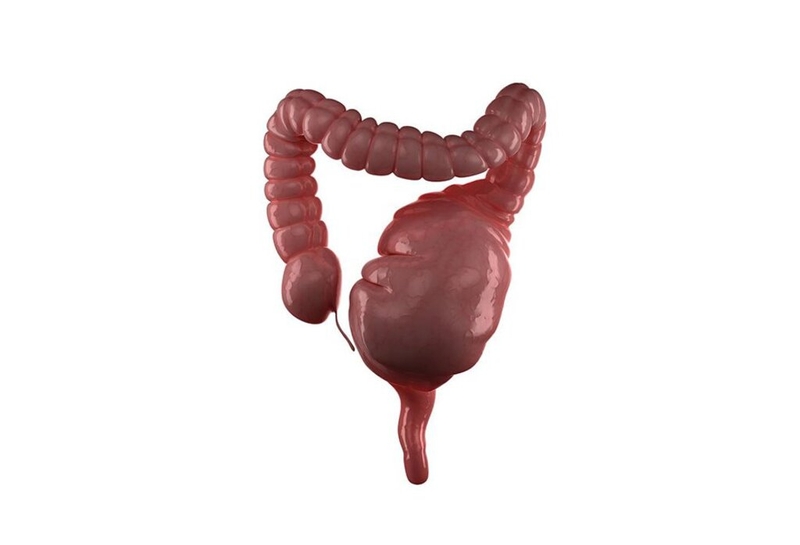 Táo bón kéo dài: Dấu hiệu cảnh báo bệnh lý nguy hiểm 1