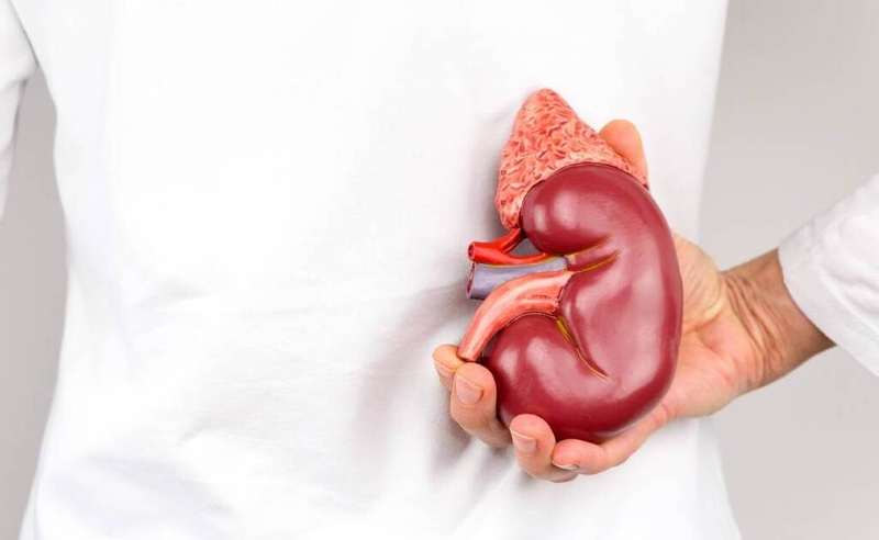 Xét nghiệm 17 OHP và bệnh tăng sản tuyến thượng thận bẩm sinh 1