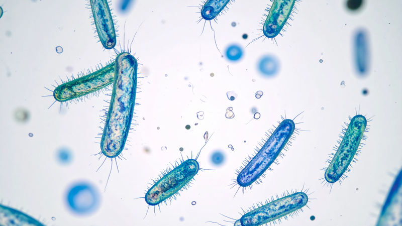 Tiêu chảy có thể do nhiều nguyên nhân như virus, vi khuẩn, ký sinh trùng