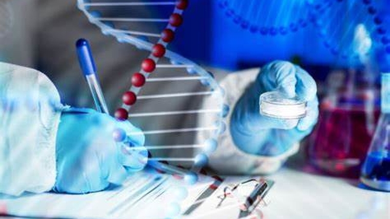 SNP là gì? Hiểu rõ về tầm quan trọng của chúng trong nghiên cứu gen 4