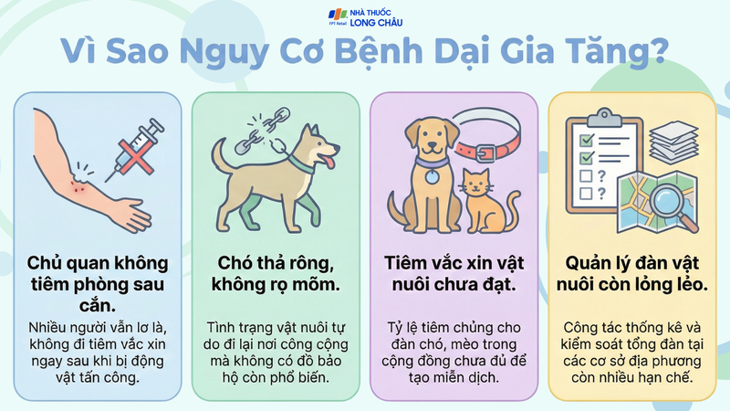 Bệnh dại gia tăng xuất phát từ nhiều nguyên nhân