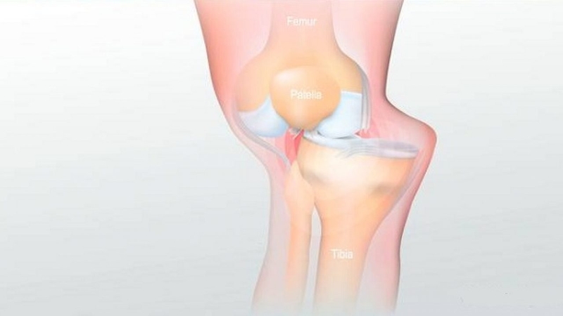 Sơ cứu sai khớp như thế nào 2