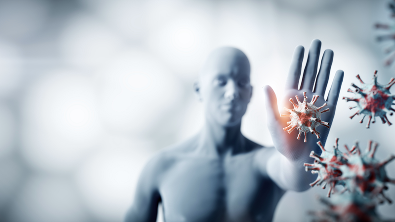 so-duong-an-co-tot-khong 2