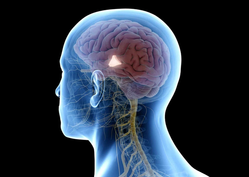 Sợ hãi là gì Dấu hiệu nhận biết sợ hãi 2