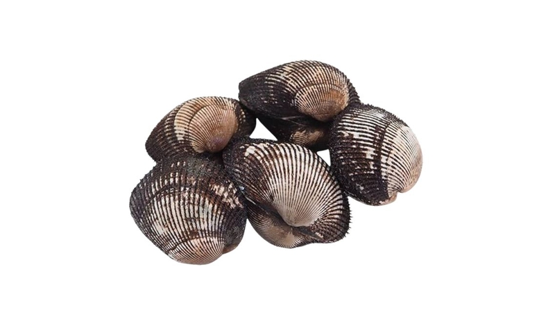 Ăn sò lông có tốt không? Giá trị dinh dưỡng và công dụng cho sức khỏe 1