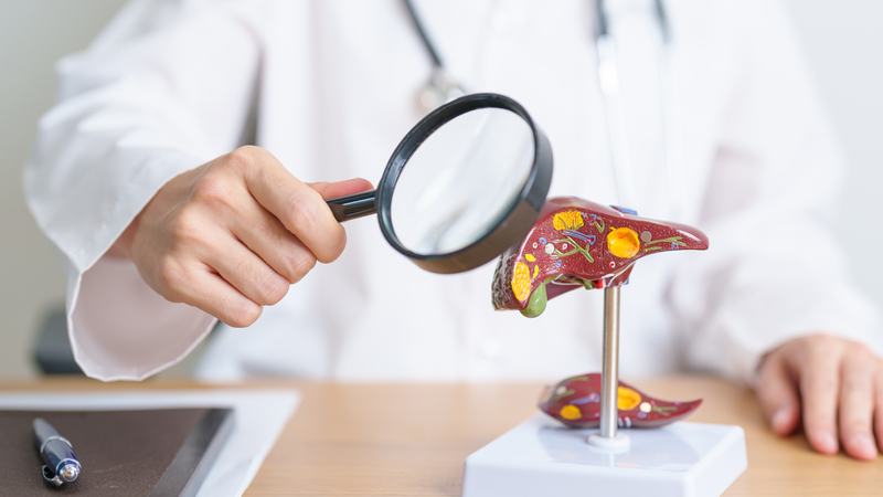 so-lua-la-so-gi-an-co-bo-khong 3