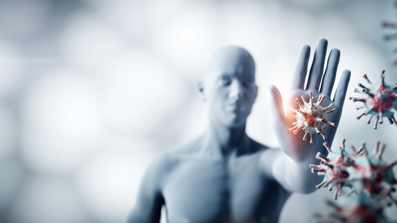 so-mai-co-bo-khong 3