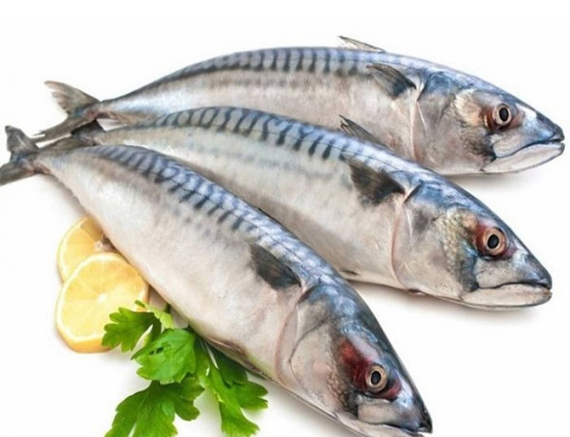 So sánh các đặc điểm của cá thu trắng và cá thu đen1