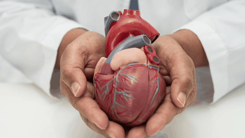 Người cao tuổi và người có bệnh về tim nên ưu tiên đầu tư 1 máy đo huyết áp