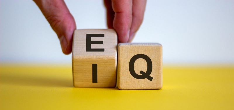 So sánh sự khác biệt giữa chỉ số EQ và chỉ số IQ1