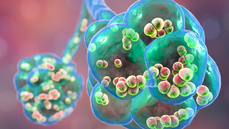 So sánh vắc xin phế cầu 20 và phế cầu 23: Vắc xin Prevenar 20 khác gì so với Pneumovax 23? 1