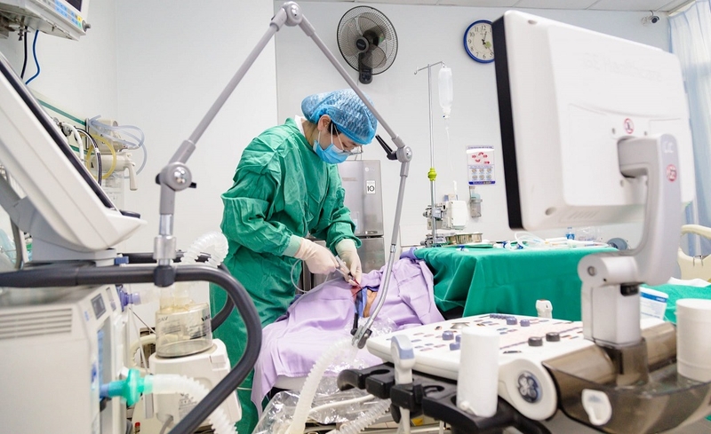 Sốc nhiễm khuẩn suy đa tạng nguy hiểm như thế nào? Cách nhận biết bệnh ra sao? 2