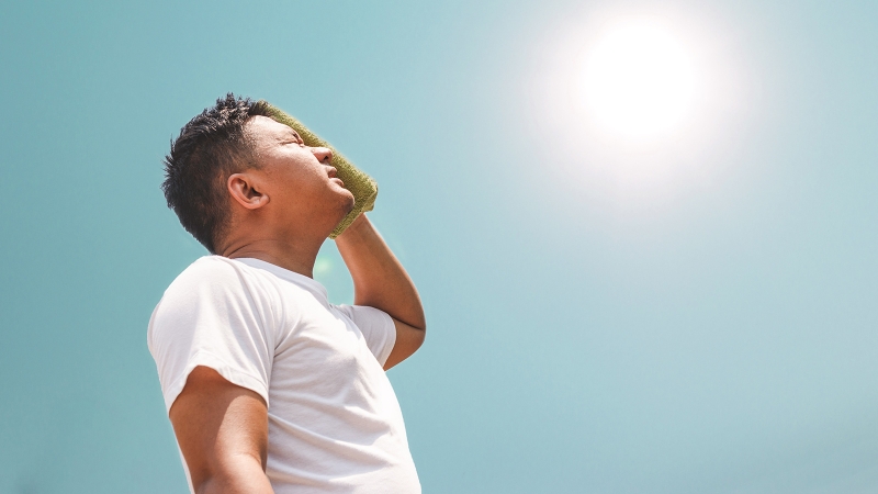 Nếu nhiệt độ môi trường tăng cao để đề phòng sốc nhiệt&nbsp;bạn nên ở trong phòng mát có quạt hoặc máy lạnh