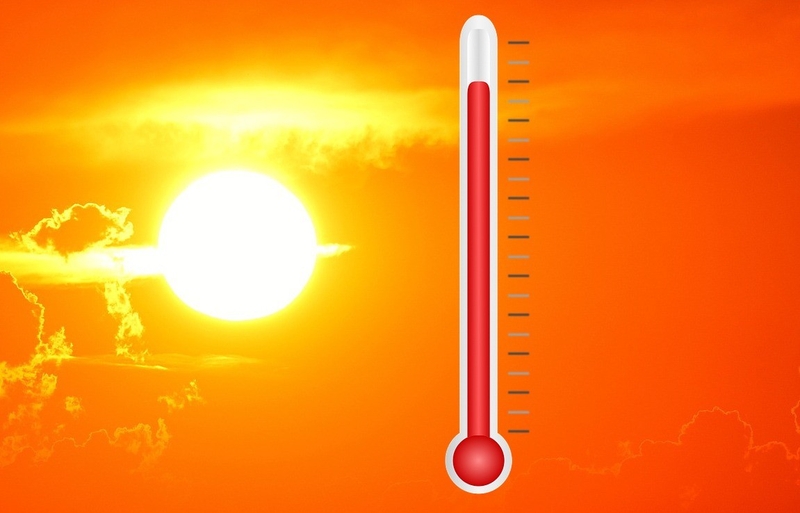 Nếu không điều trị kịp thời sốc nhiệt&nbsp;có thể nhanh chóng gây tổn thương não, tim, thận và cơ