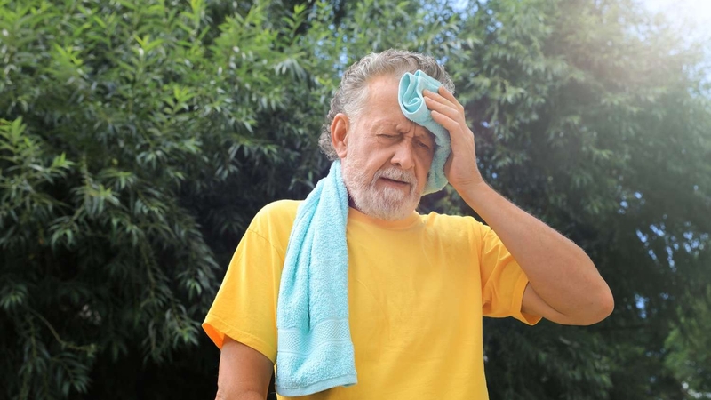Sốc nhiệt do nắng nóng: Làm thế nào để phòng tránh? 1