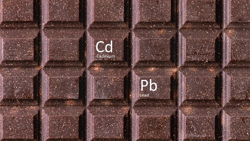 Socola: Tử thần chậm từ cadimi và chì trong thực phẩm 2