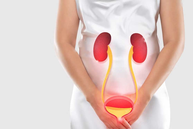 Sỏi thận 7mm là to hay nhỏ, có nguy hiểm không? 3