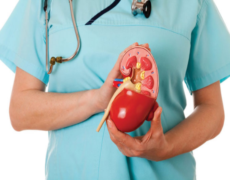 Sỏi thận mổ nội soi và những lưu ý sau phẫu thuật 1