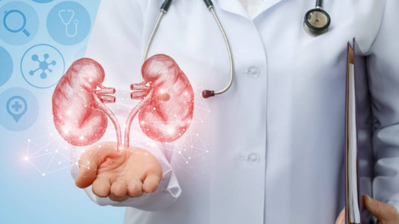 Sỏi tiết niệu - căn bệnh thường gặp của người Việt 2