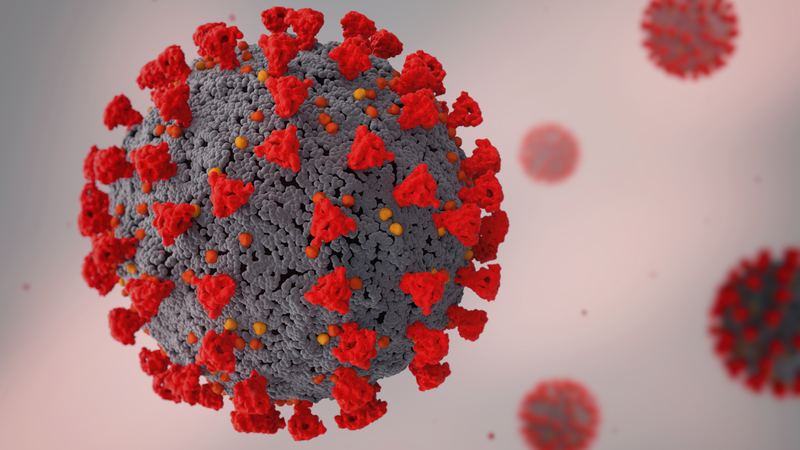 Sóng điện từ có thể phá vỡ protein gai của SARS-CoV-2 và làm giảm khả năng lây nhiễm 1