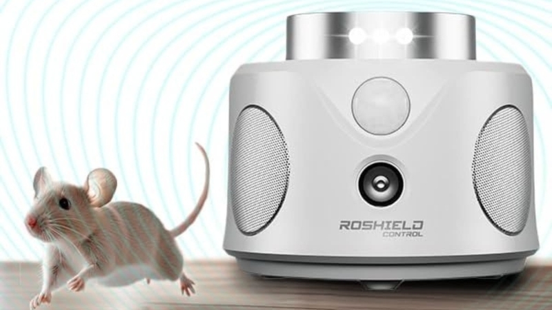 Sóng siêu âm đuổi chuột có hại không là thắc mắc của nhiều người