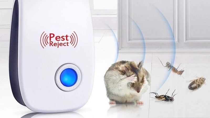 Lưu ý bật thiết bị 24/7 để đạt hiệu quả đuổi chuột tốt nhất