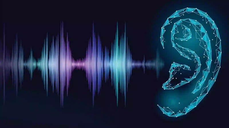 Sóng siêu âm là gì? Cơ chế và ứng dụng của sóng siêu âm trong thực tiễn 3