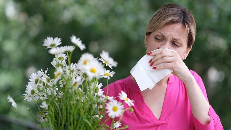 Sốt cỏ khô là gì? Các triệu chứng của sốt cỏ khô 1