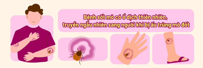 Sốt mò: Cần phát hiện sớm để tránh biến chứng nguy hiểm 2