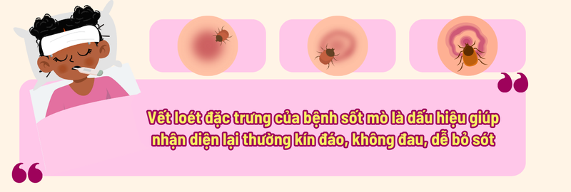 Sốt mò: Cần phát hiện sớm để tránh biến chứng nguy hiểm 6