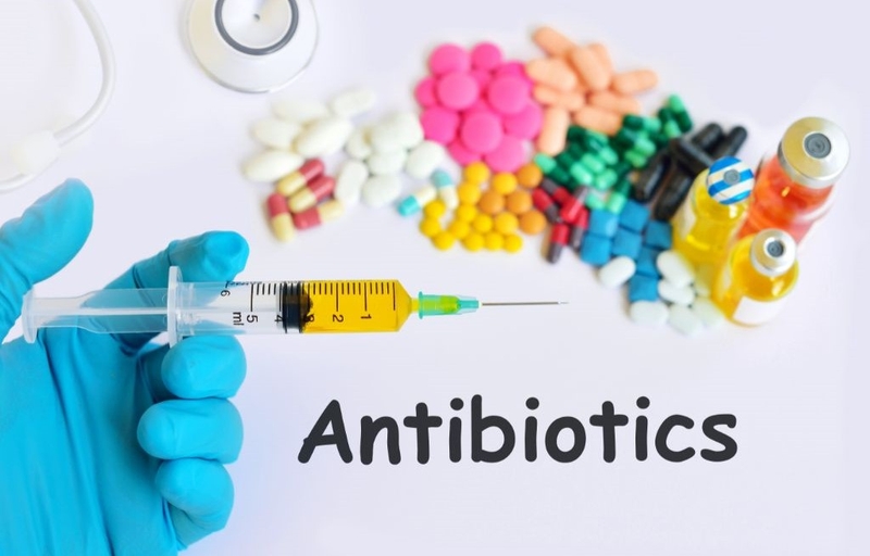 Sốt mò ở trẻ em: Nguyên nhân, triệu chứng và biện pháp phòng ngừa 4