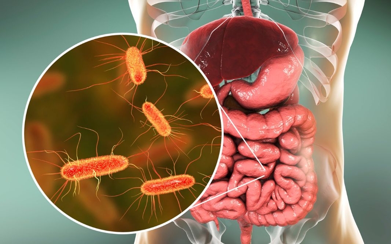 Sốt nhiễm khuẩn ở người lớn: Nguyên nhân, triệu chứng, cách điều trị 1