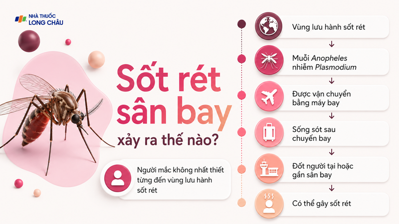 Muỗi mang ký sinh trùng có thể sống sót trên máy bay và thoát ra khi hạ cánh