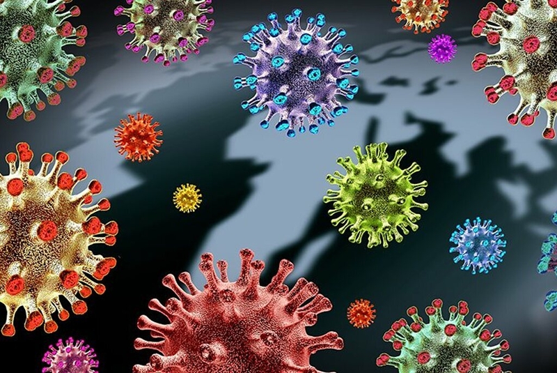 Sốt virus khi đang mang thai có nguy hiểm không và phải làm gì khi mẹ bầu bị sốt virus? 2