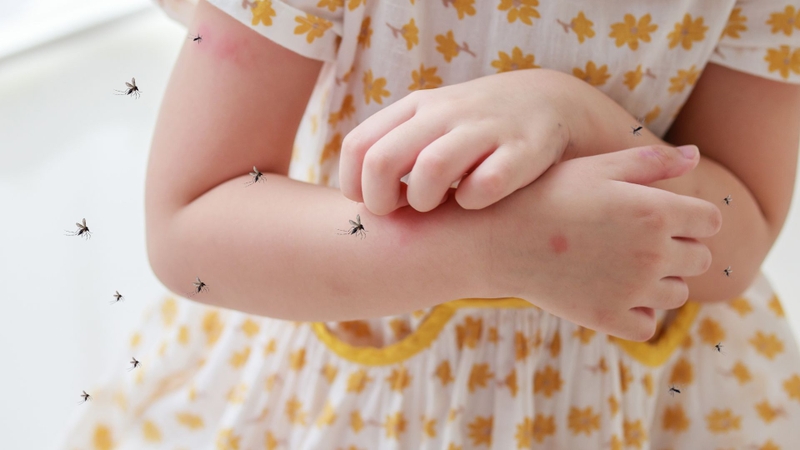 Chủ động tiêm vắc xin và phòng tránh muỗi đốt giúp phòng bệnh sốt xuất huyết