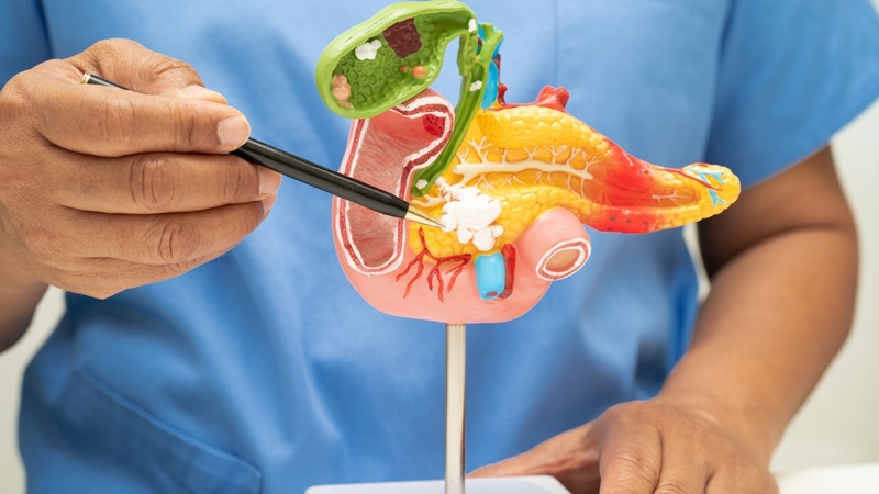 Sốt xuất huyết bị đau bụng có sao không? 4