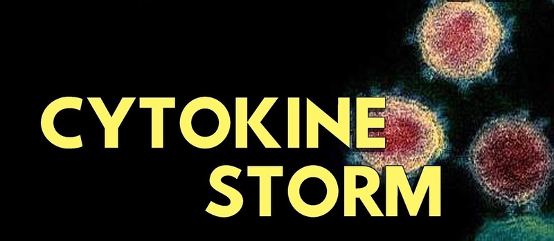 Sốt xuất huyết chảy máu cam nguy hiểm như thế nào – bạn đã biết chưa?2