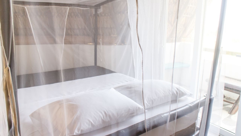 Sốt xuất huyết có gây dị tật thai nhi hay không? 3