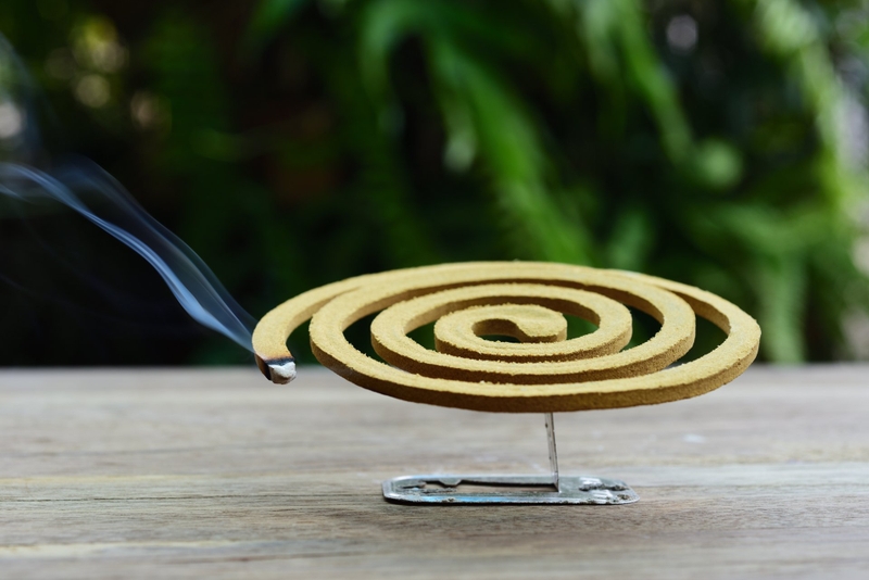 Sốt xuất huyết có lây không? Cách phòng tránh bệnh 3