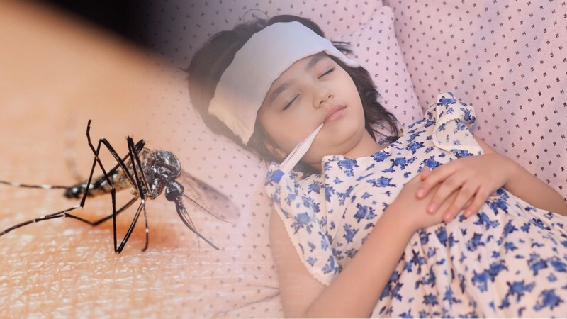 Sốt xuất huyết không lây từ người sang người mà qua muỗi vằn truyền bệnh