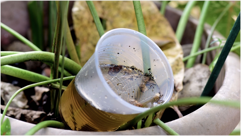 Giải đáp: Sốt xuất huyết có lây qua đường hô hấp không? 3