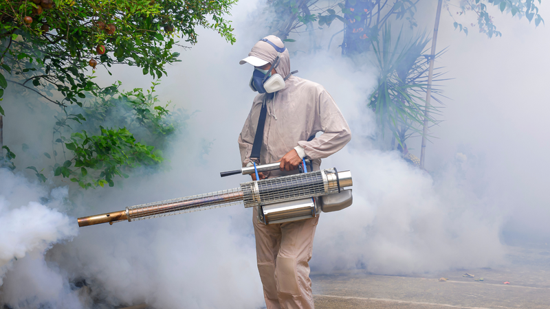 Sốt xuất huyết dengue có dấu hiệu cảnh báo nào? Nhận biết để điều trị kịp thời 3