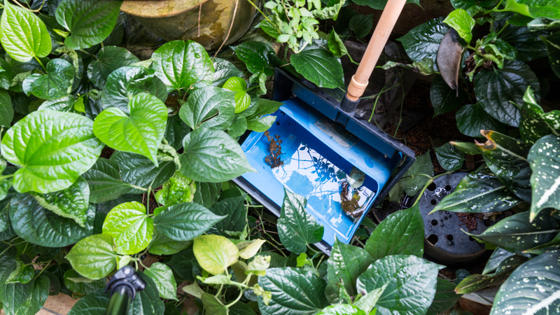 Sốt xuất huyết dengue có dấu hiệu cảnh báo nào? Nhận biết để điều trị kịp thời 4