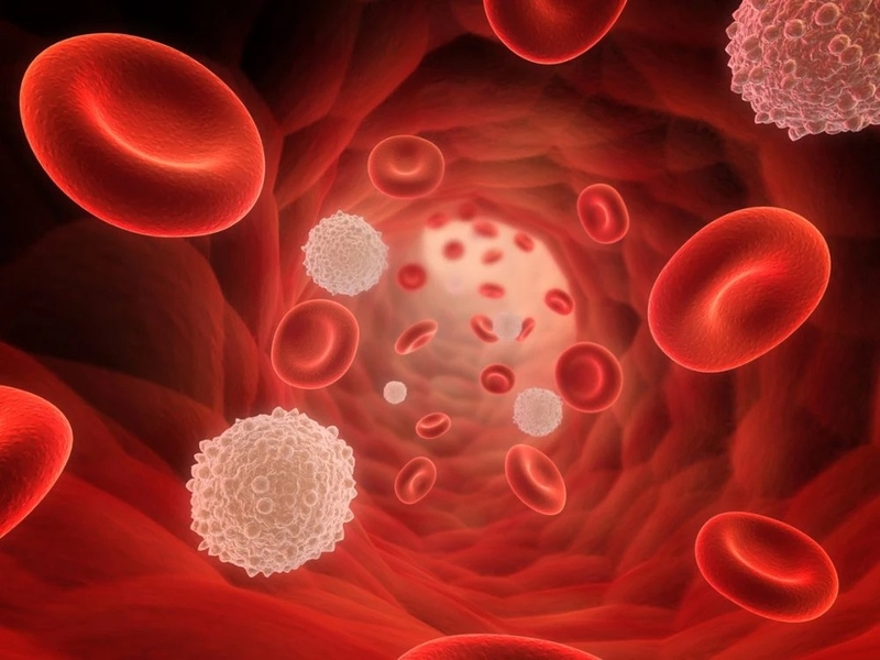 sot-xuat-huyet-giam-bach-cau-co-nguy-hiem-khong 2.jpg