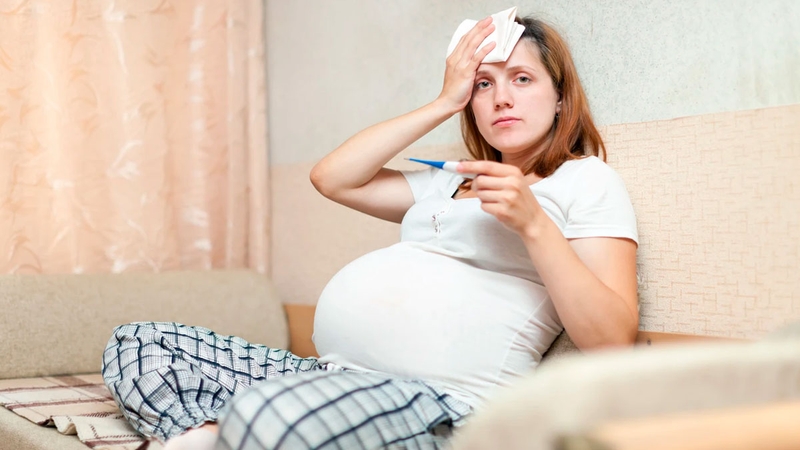 Sốt xuất huyết khi mang thai và những điều cần biết 1