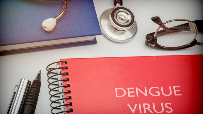 Sốt xuất huyết máu đông: Cảnh báo nguy hiểm từ biến chứng rối loạn đông máu 1