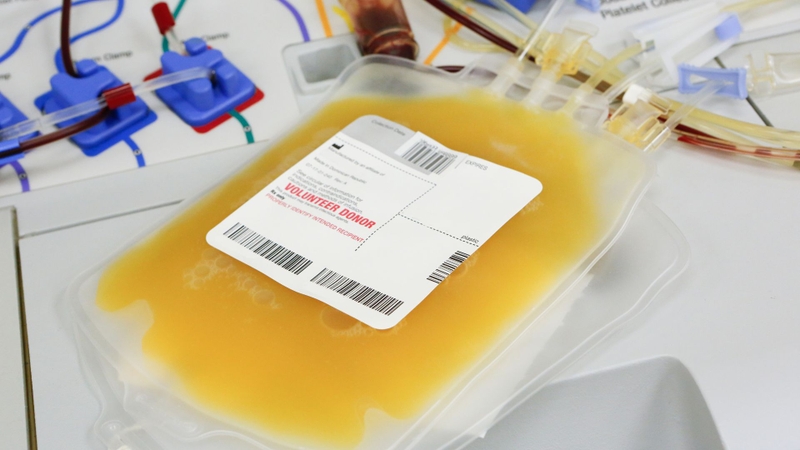 Sốt xuất huyết máu đông: Cảnh báo nguy hiểm từ biến chứng rối loạn đông máu 4