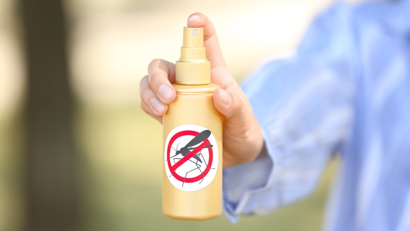 Sốt xuất huyết nên ăn gì và tránh ăn gì để nhanh hồi phục? 5